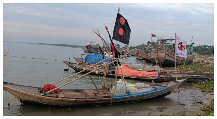 বিষ প্রয়োগে মেঘনায় চিংড়ি শিকার, নিধন হচ্ছে পোনা